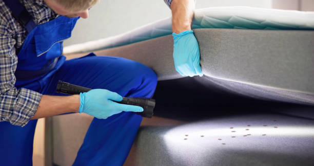 Best Flea Control Services  in Flint Hill, MO
