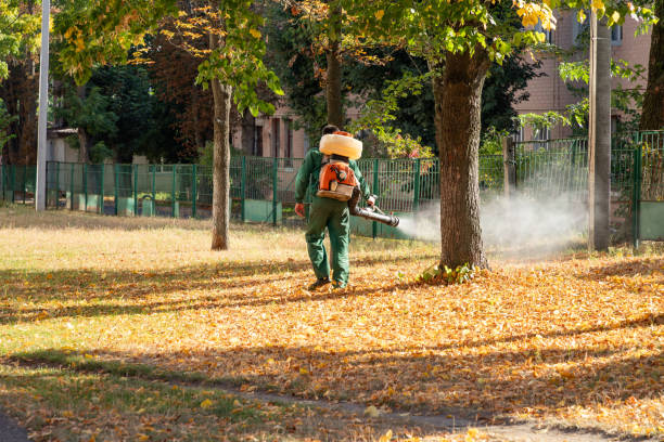 Best Best Pest Control Companies  in Flint Hill, MO