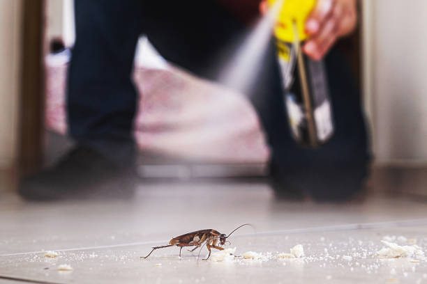 Best Emergency Pest Control  in Flint Hill, MO