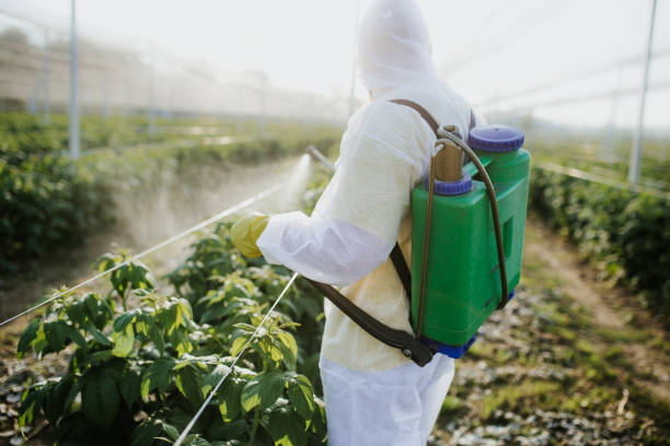 Best Ant Control Services  in Flint Hill, MO